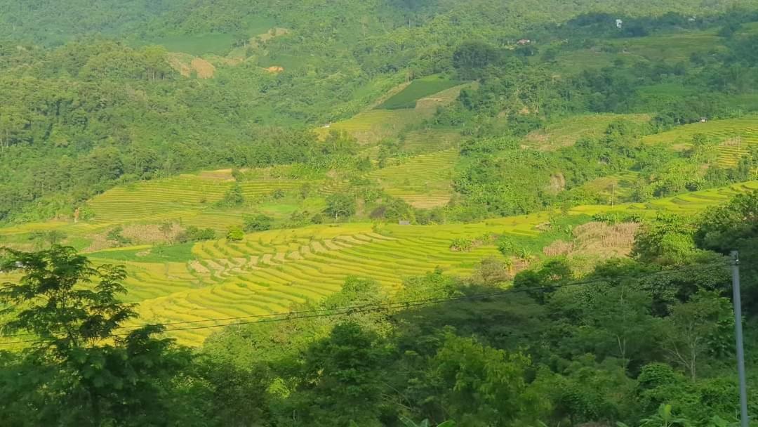 Ecolodge Ke Nenh Dien Bien Ban Hin Lom 외부 사진