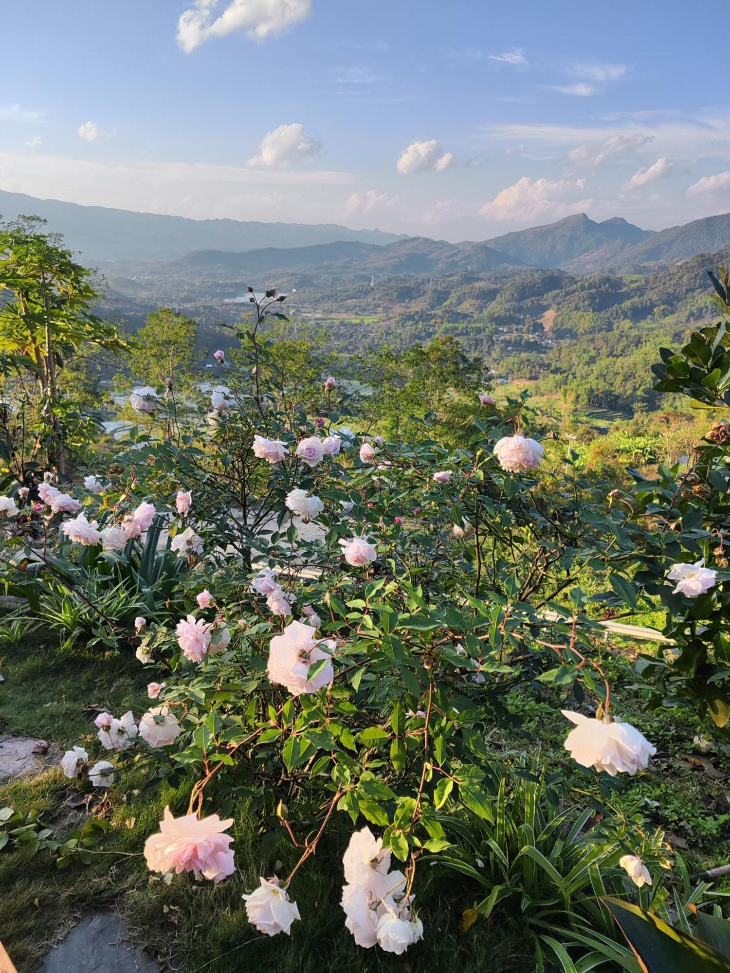 Ecolodge Ke Nenh Dien Bien Ban Hin Lom 외부 사진